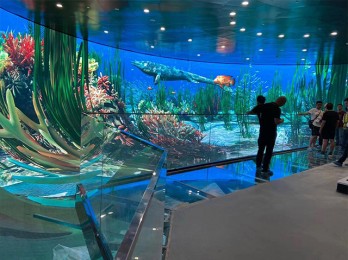 水族館高清LED顯示屏：科技與自然的完美融合