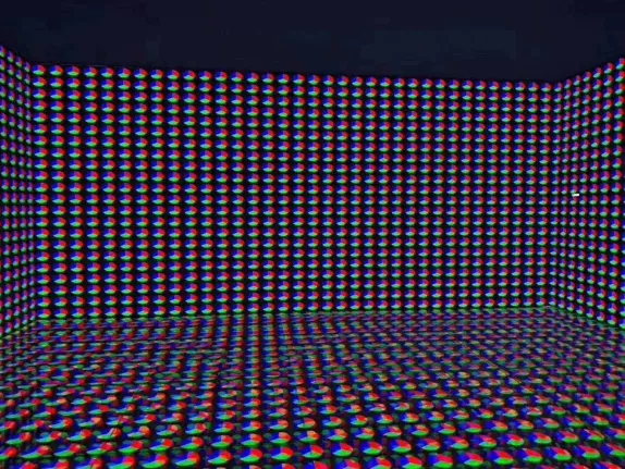 1631775713216661.jpg 11111_看圖王.web.jpg