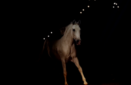 1633914015957695.png 0008.png