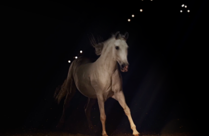 1633914026822776.png 0009.png