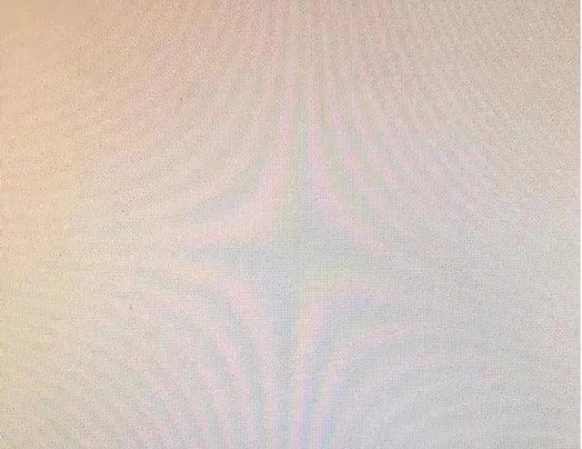 1665799141618246.jpg eaf81a4c510fd9f95316e3fe0bc4cd212934a41c_看圖王.web.jpg