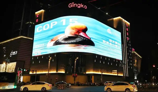 1669944785601581.jpg 9213b07eca8065388629d98ad705f74faf34824f_看圖王.web.jpg